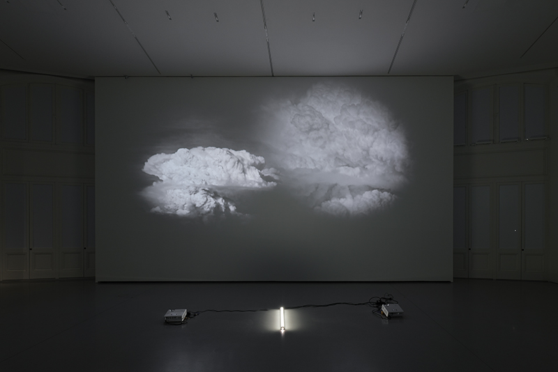 Avant l'orage : Diana Thater. White is the Color. 2002, double projection. Courtesy de l’artiste et Pinault Collection.